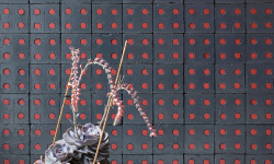 MUTINA BLOC RED GLOSSY 13х13 мини 3 6