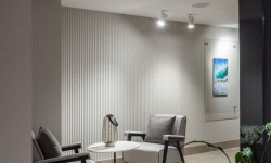 ORAC 3D ПАНЕЛЬ 250x18x2000 мини 3 6