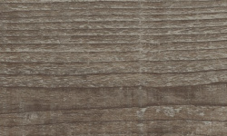 MIRAGE HORSE GY 03 SP SQ 10х60x0.9 мини 1